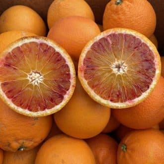 orange tarocco
